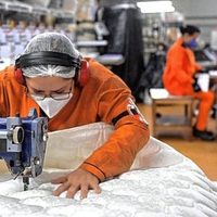 Repro II: cómo realizar la inscripción para solicitar la ayuda económica