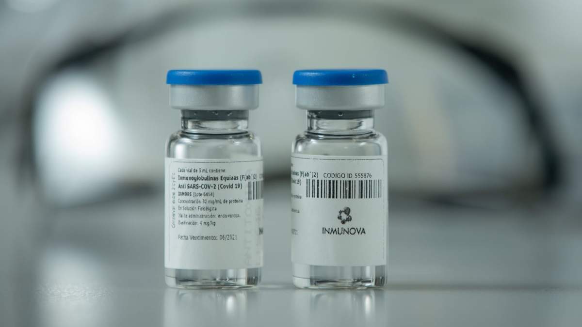 Dosis del suero equino hiperinmune para tratar el coronavirus. Fuente: (Twitter)