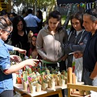 Los emprendedores de Neuquén dieron un salto digital: dónde se los puede encontrar