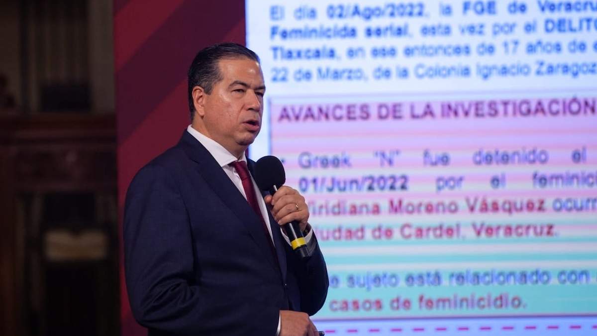 El subsecretario Ricardo Mejía Berdeja