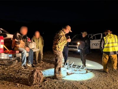 Caza ilegal en Junín de los Andes: deberán pagar 6 millones de pesos para evitar el juicio