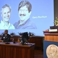 Nobel de Medicina para dos estadunidenses por su descubrimiento del microARN