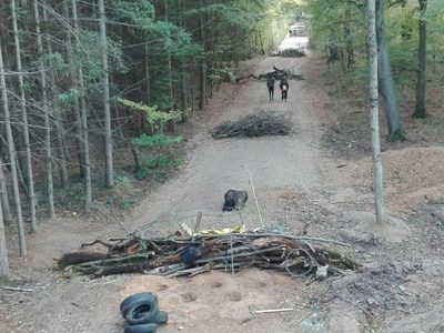 Alemania: la defensa del bosque de Hambach