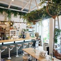 Ciudades del mundo recomendadas para turistas veganos