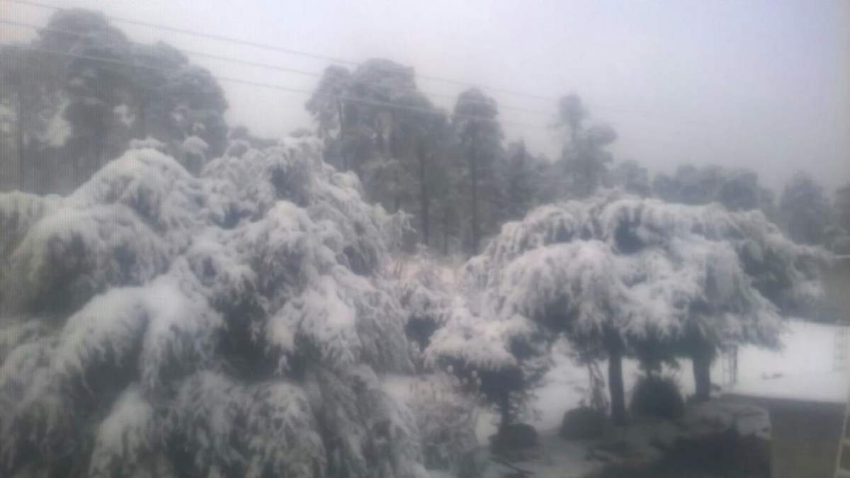 Se espera caída de nieve en el Nevado de Toluca