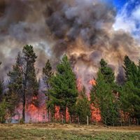 Avanzó la causa del incendio en El Bolsón, que se originó por una imprudencia humana