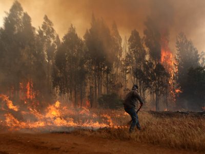 El Gobierno de Chile asegura que los incendios forestales son intencionales: hay 19 focos activos