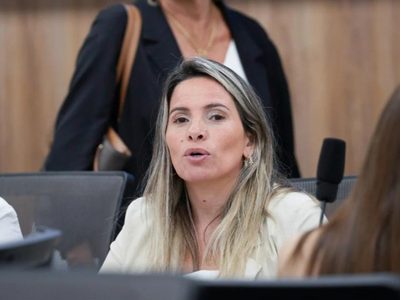 Tras la media sanción a la reforma de Zonas Frías: qué pasará en Neuquén