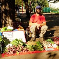 Crean una plataforma digital para conocer las ferias agroecológicas