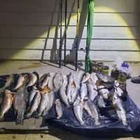 Secuestraron más de 33 de truchas pescadas de forma ilegal en Alicurá