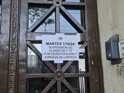 Una escuela de Rosario suspendió sus clases después de que una rata atacara a un alumno