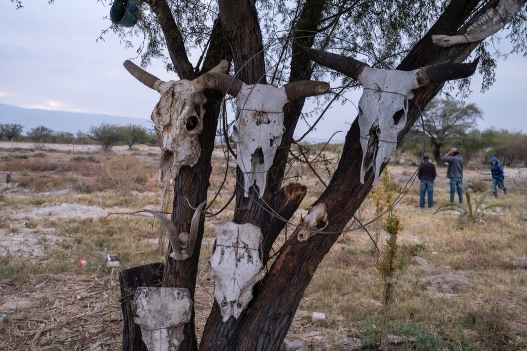 cuatro-cienegas-4