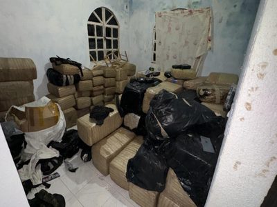 Decomisan una tonelada de mariguana en Tabasco; hay una detenida