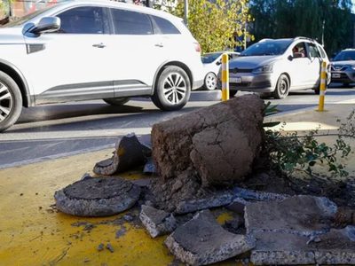 Un sujeto destrozó las macetas ubicadas en el centro de la ciudad de Neuquén