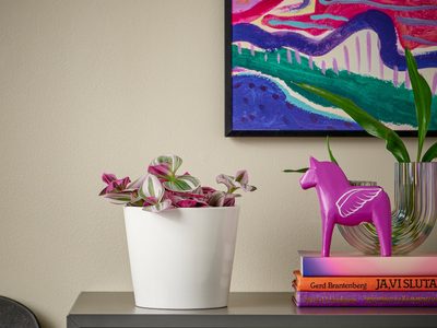 La poderosa planta cuyo original color activa la prosperidad y la abundancia en tu hogar: así podés cultivarla