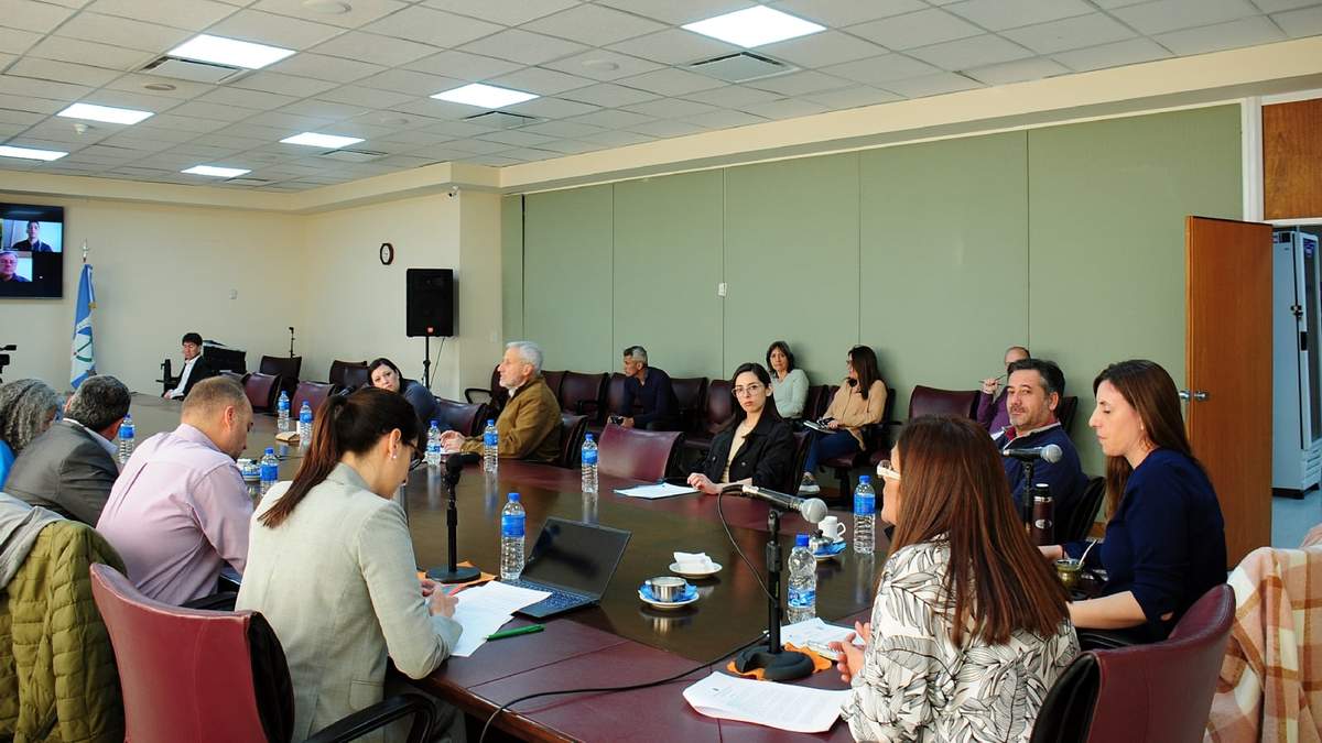 Autoridades del CEAN, de Junín e los Andes, en la Legislatura. Fuente: (Twitter)
