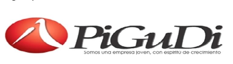 logo Pigudi