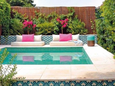 Jardines hermosos sin esfuerzo: las plantas que resisten el pleno sol y lucen perfectas al borde de la pileta