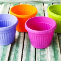 Llevá a otro nivel tu simple maceta de plástico con esta idea genial que revitaliza cualquier ambiente
