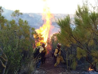Omiten en informe federal incendios y pérdidas de Baja California