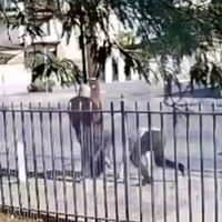 Arrestan a policía municipal y su hermano por agresión al periodista Jorge Heras
