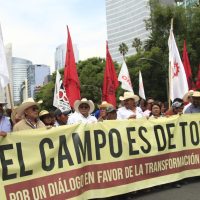 Organizaciones campesinas marchan y exigen diálogo con AMLO