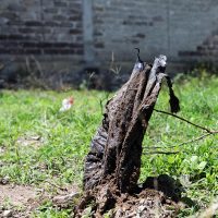 Morelos: autoridades acuerdan abrir fosas de Jojutla el próximo 20 de marzo