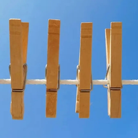No tires los broches de madera viejos o rotos: así podés crear esta maceta vintage para tus plantas de interior