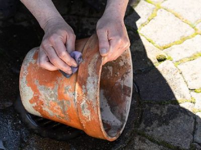 El truco de limpieza para limpiar tus macetas antes de volverlas a usar para sembrar tus plantas