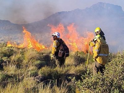 Neuquén concretó el envío a Chile de brigadistas, personal sanitario y vehículos para asistir en los incendios