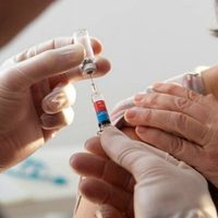 Mendoza refuerza sistemas de vigilancia por gripe H2N3