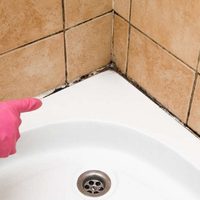 El trucazo de la abuela para eliminar el sarro en la silicona de la ducha y dejarla como nueva