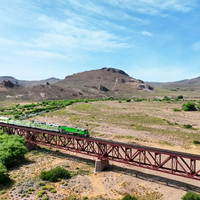 Tren Patagónico: el Gobierno de Río Negro comprará una nueva locomotora