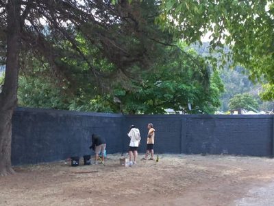 Grafiteros taparon el mural de Maradona en el Parque Nacional Lanín
