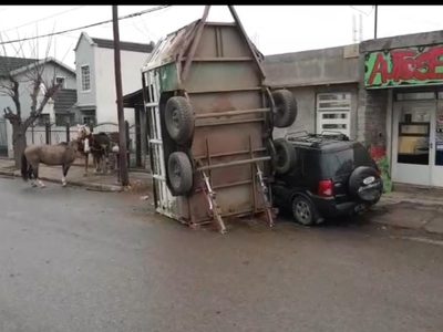 Un carro que transportaba caballos volcó en Centenario