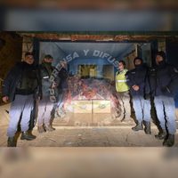 Encuentran un millonario cargamento de carne con hueso durante un control en Añelo