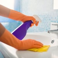 No gastes en productos carísimos: mirá cómo preparar tu propio desinfectante para el baño con solo 4 ingredientes