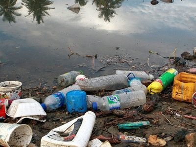 Hongos come plástico podrían ayudar al problema de la contaminación oceánica