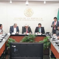 Los candidatos de AMLO para la CRE no cumplen con el perfil: senadores