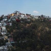 Los gerentes del abandono: La desprotección institucional del Bosque de Los Remedios