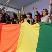 Todo esfuerzo por corregir la homosexualidad es una manifestación de discriminación: Copred