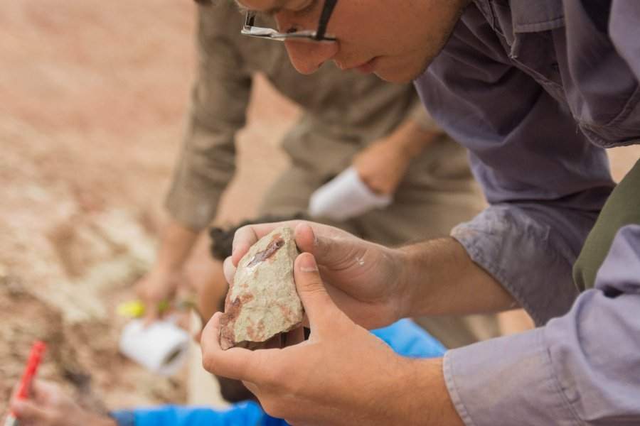 Los restos del Overoraptor chimentoi