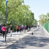 “Disfrutando del río Neuquén”, la actividad que fue un éxito en Neuquén Capital
