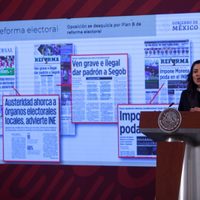 "Se desquicia la oposición por Plan B": García Vilchis denuncia campaña contra la reforma electoral