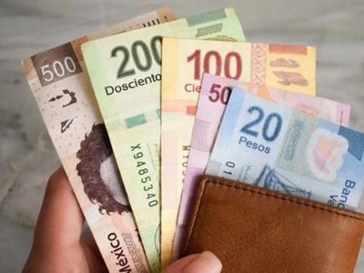 Plan C de AMLO: aprueban la reforma a la Ley de Salarios