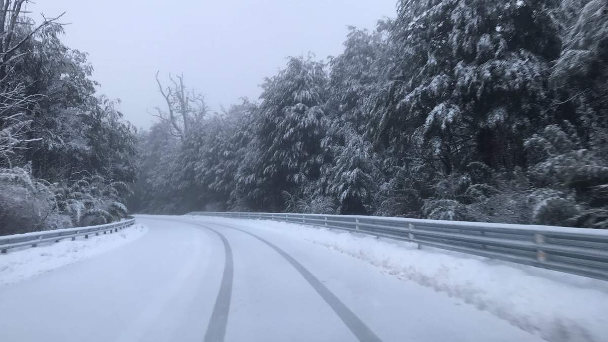 Nieve en Aluminé. Fuente: (Twitter)