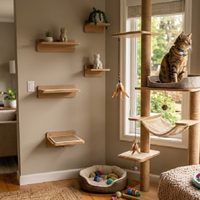 Ni mimos ni comida: las 7 cosas que tu gato realmente necesita para ser feliz (y casi nadie sabe)