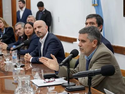 Se presentaron cuatro ofertas para construir la pasarela peatonal sobre el río Cuyín Manzano