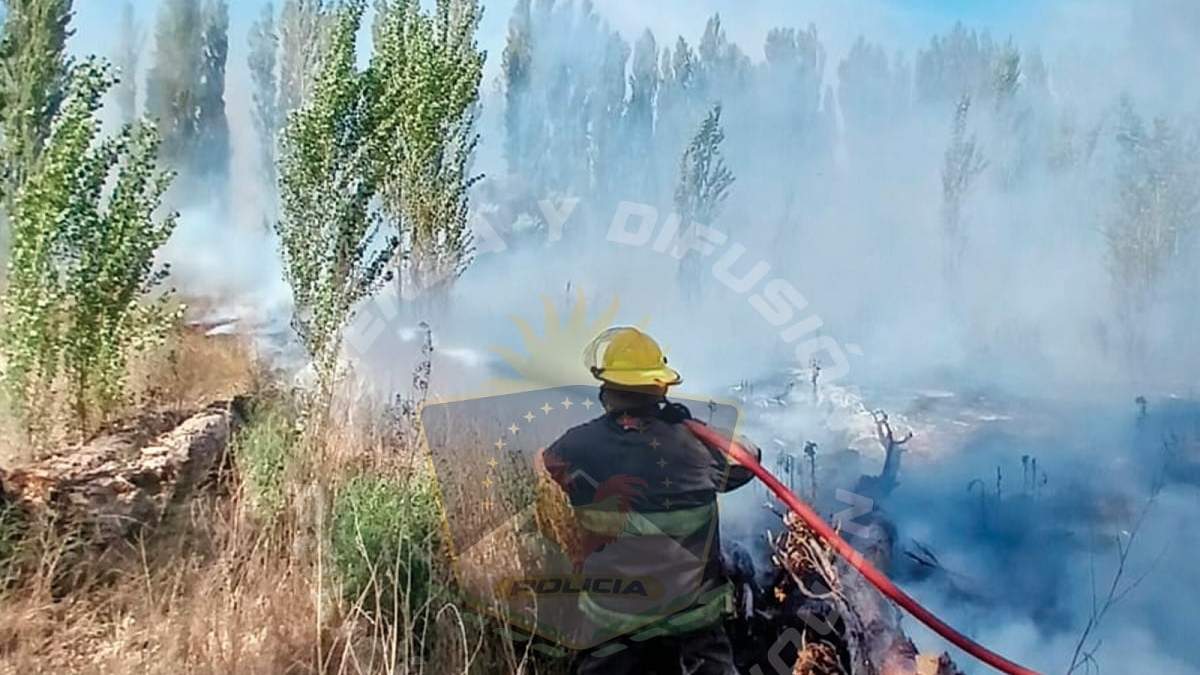 La tarea de Bomberos se complicó debido al fuerte viento reinante. Fuente (Policía de Neuquén)