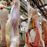 Revés para el campo: el Gobierno abre las exportaciones de carne